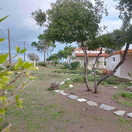 Vintage Beach House Агия Анна Екстериор снимка