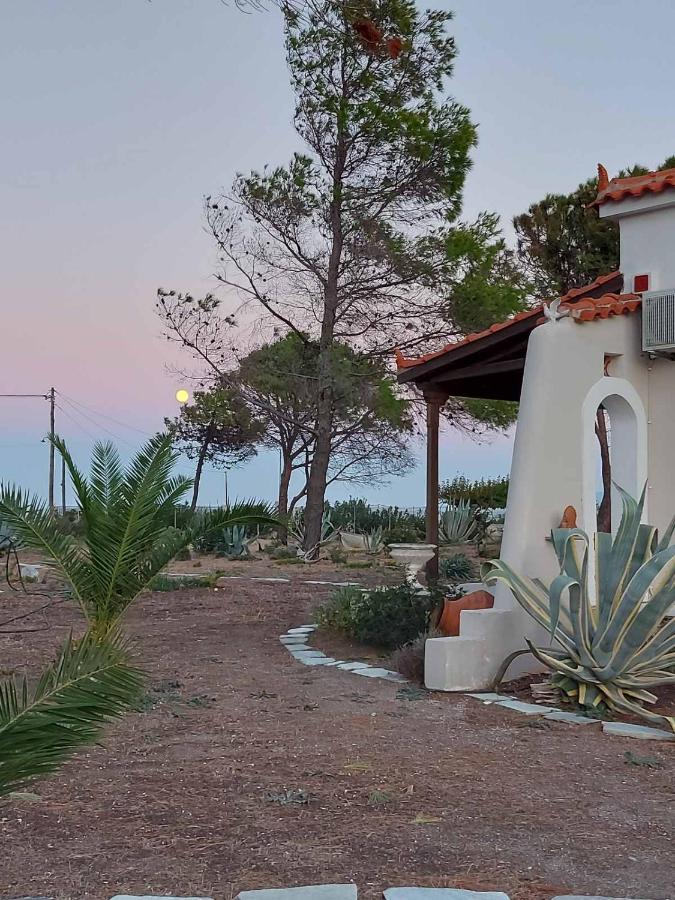 Vintage Beach House Агия Анна Екстериор снимка